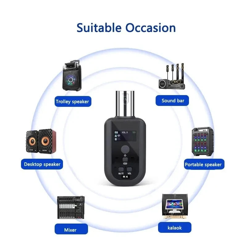 Professional Echo Mute Noise Reduction XLR Plug on Audio Transmitter and Receiver Wireless Adapter Wired Microphone To Wireless