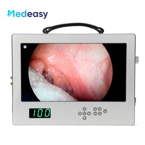 15.6 Inch Medical Full HD 1080P Integrated Endoscope Camera System Portable Multi-outputs Surgical Endoscopic Camera