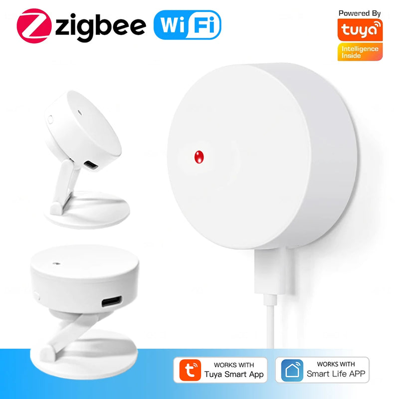 ZigBee Wifi MmWave Human Presence Motion Sensor Radar Wave Human Detector Motion Detector Tuya Hub Smart Life Home Automation